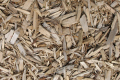biomass boilers Sasaig